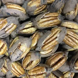 Brownwood Farmers Market - Brownwood