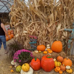 Brownwood Farmers Market - Brownwood