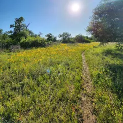 Lake Brownwood State Park - Brownwood