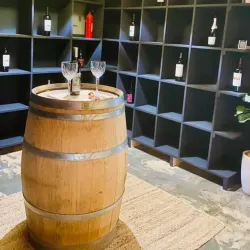 Cibolo Creek Vineyards - Bulverde