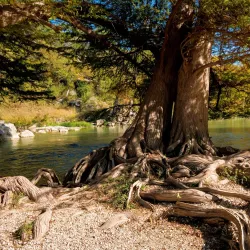 Guadalupe River State Park - Bulverde
