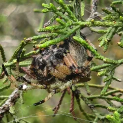 Honey Creek State Natural Area - Bulverde