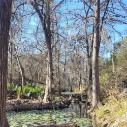 Honey Creek State Natural Area - Bulverde