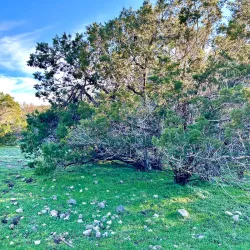 Honey Creek State Natural Area - Bulverde