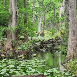 Honey Creek State Natural Area - Bulverde