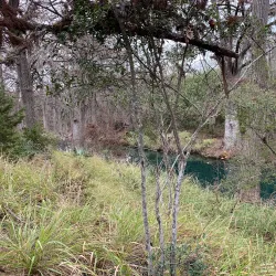 Honey Creek State Natural Area - Bulverde