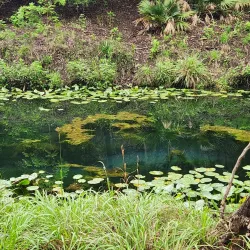 Honey Creek State Natural Area - Bulverde