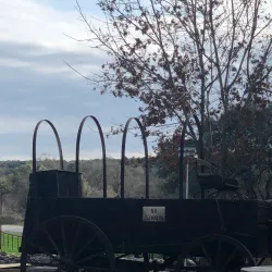 Tejas Rodeo Company - Bulverde