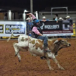 Tejas Rodeo Company - Bulverde