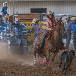 Tejas Rodeo Company - Bulverde