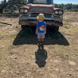 The Farmyard - Bulverde