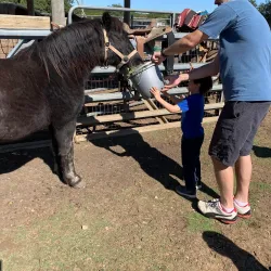 The Farmyard - Bulverde