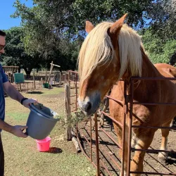 The Farmyard - Bulverde