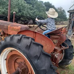 The Farmyard - Bulverde