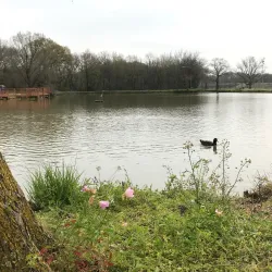 Caldwell City Park - Caldwell