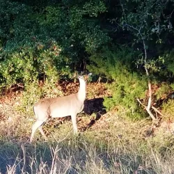 Lake Somerville State Park and Trailway - Caldwell