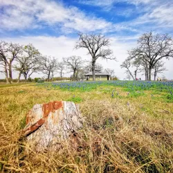 Lake Somerville State Park and Trailway - Caldwell