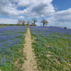 Lake Somerville State Park and Trailway - Caldwell