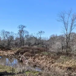 Lake Somerville State Park and Trailway - Caldwell