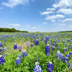 Brushy Creek Lake Park - Cedar Park