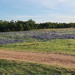 Brushy Creek Lake Park - Cedar Park