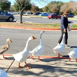 Brushy Creek Regional Trail - Cedar Park