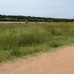 Brushy Creek Regional Trail - Cedar Park