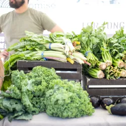 Cedar Park Farmers Market - Cedar Park