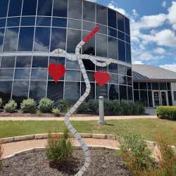 Cedar Park Sculpture Garden - Cedar Park