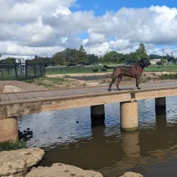 Veterans Memorial Amphitheater - Cedar Park