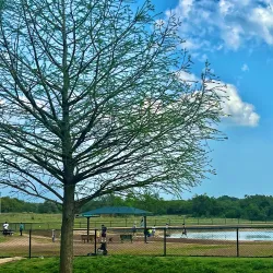 Veterans Memorial Park - Cedar Park