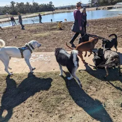 Veterans Memorial Park - Cedar Park