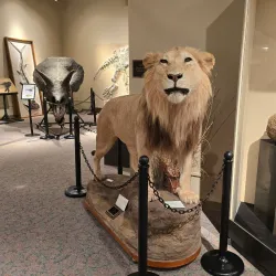 Brazos Valley Museum of Natural History - College Station