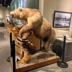 Brazos Valley Museum of Natural History - College Station