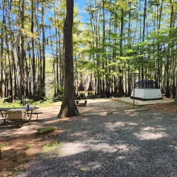 Caddo Lake State Park - Como