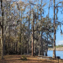 Caddo Lake State Park - Como