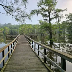 Caddo Lake State Park - Como
