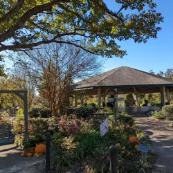East Texas Arboretum and Botanical Society - Como