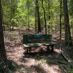 East Texas Arboretum and Botanical Society - Como