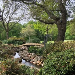 East Texas Arboretum and Botanical Society - Como