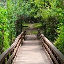 East Texas Arboretum and Botanical Society - Como
