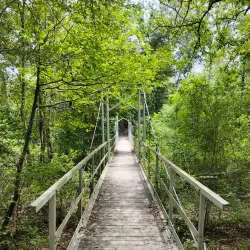 East Texas Arboretum and Botanical Society - Como