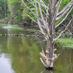 Lake Fork Reservoir - Como