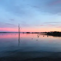 Lake Fork Reservoir - Como