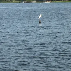 Lake Fork Reservoir - Como