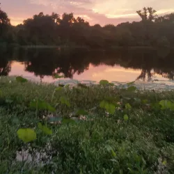 Lake Fork Reservoir - Como