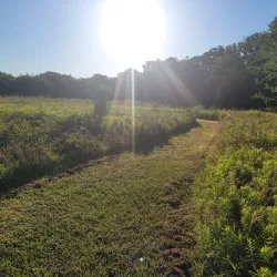 Lake Tawakoni State Park - Como