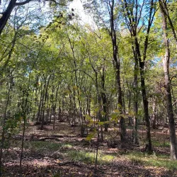 Lake Tawakoni State Park - Como