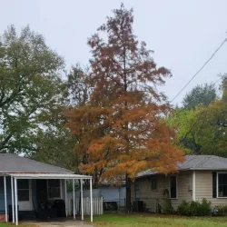 Sulphur Springs Downtown Historic District - Como