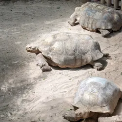 Caldwell Zoo - Conroe